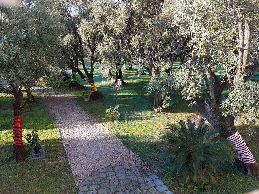 בית הארחה סרבצה 	Antico Uliveto מראה חיצוני תמונה